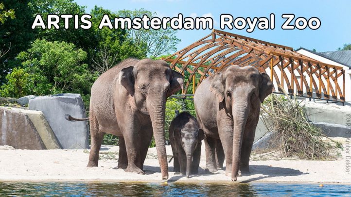 ARTIS Amsterdam Zoo