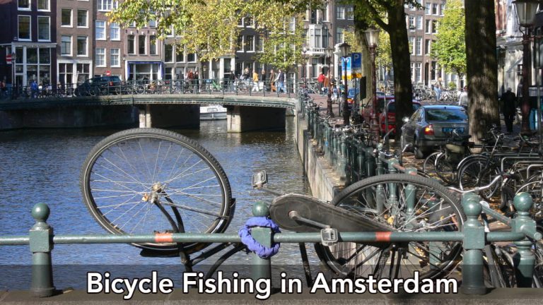 Fishing bicycles from the canals of Amsterdam