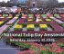 National Tulip Day Amsterdam – Free Tulips